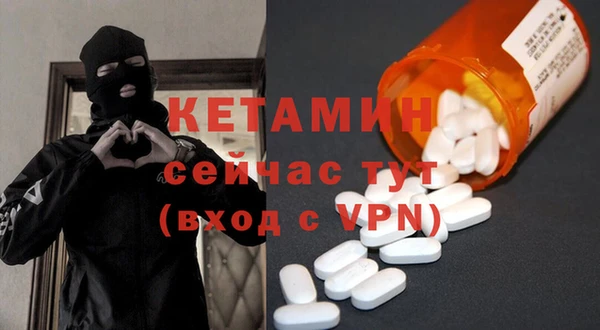 крисы Алексин